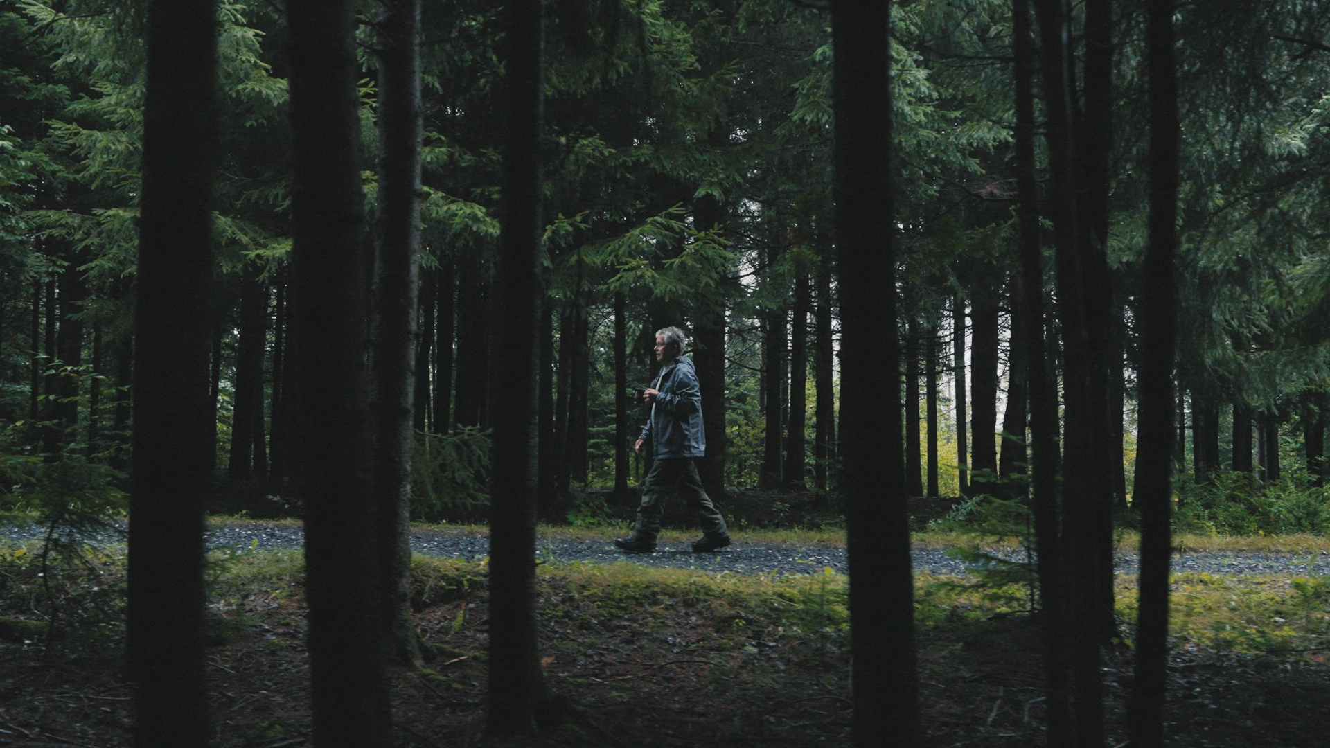 Comact Legacy in Motion